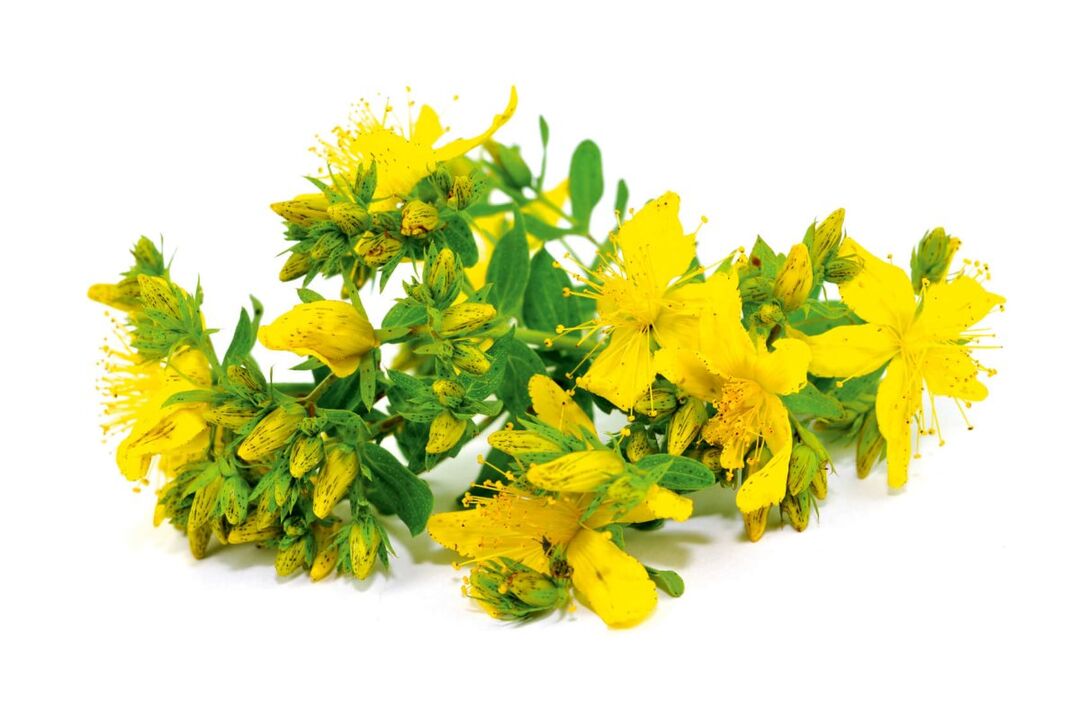 In St. John's Wort Nicode spray